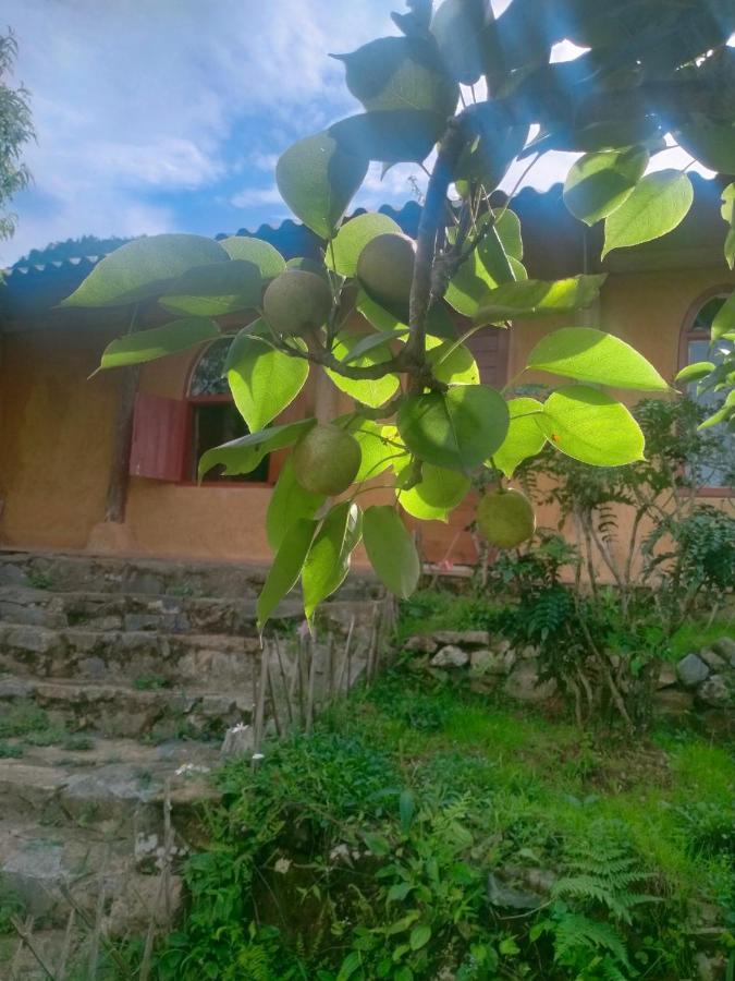 H'Mông Cổ Trấn Villa Sa Pa Ngoại thất bức ảnh