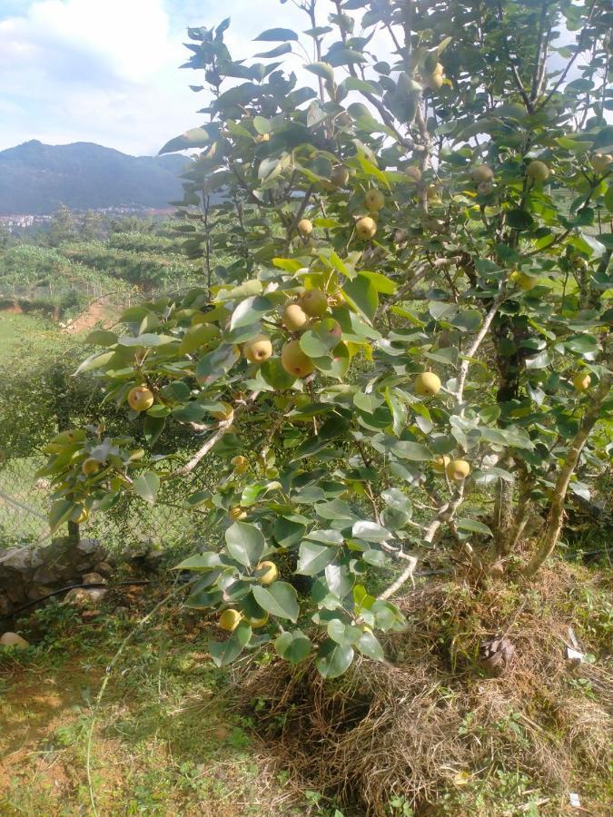H'Mông Cổ Trấn Villa Sa Pa Ngoại thất bức ảnh